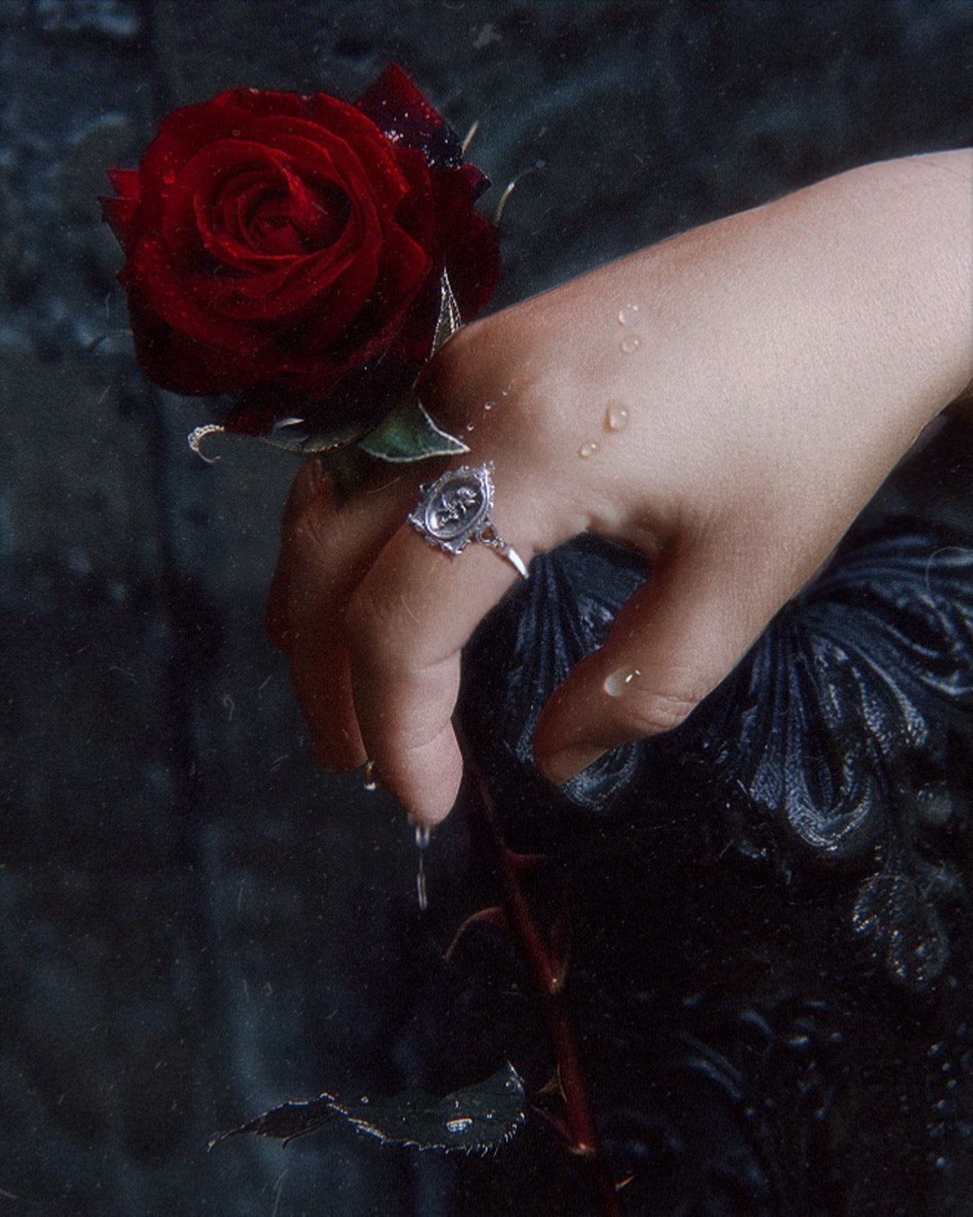 PRE-ORDER: The "Lenore's Tomb” Curio Ring