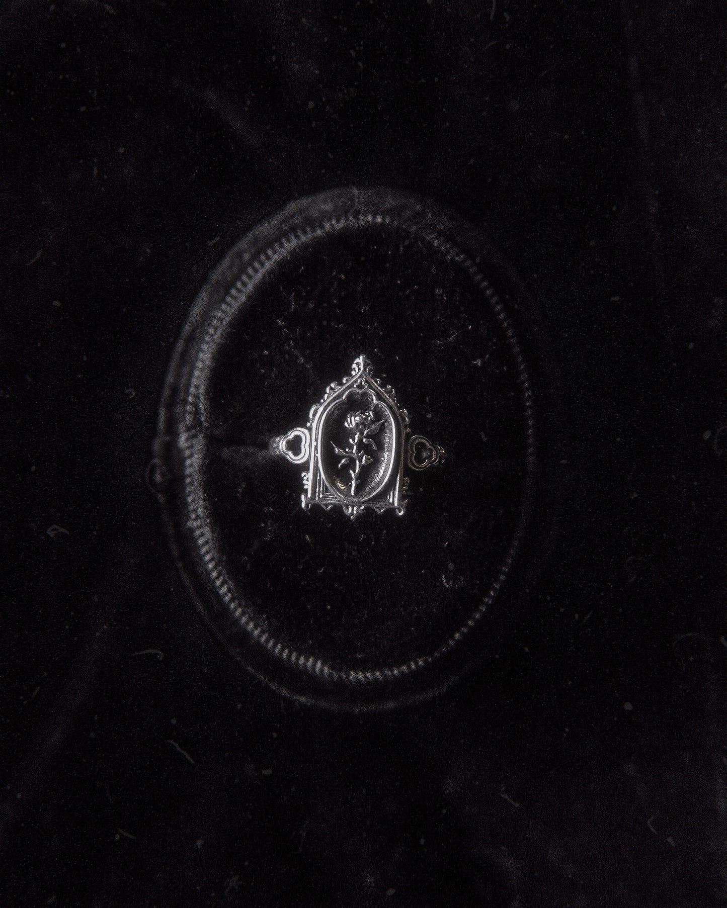 PRE-ORDER: The "Lenore's Tomb” Curio Ring