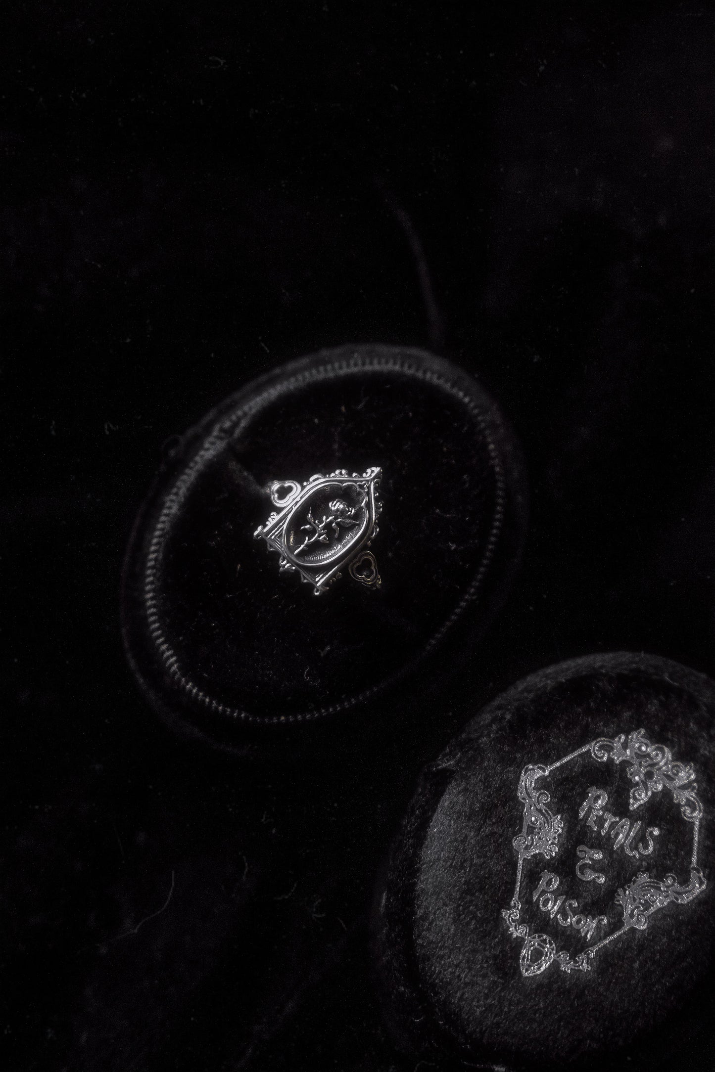 The "Lenore's Tomb” Curio Ring