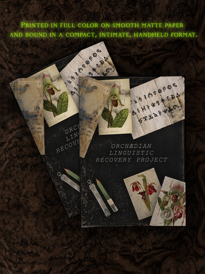 Purgatory Gardens: The Field Archive (Vol. I)