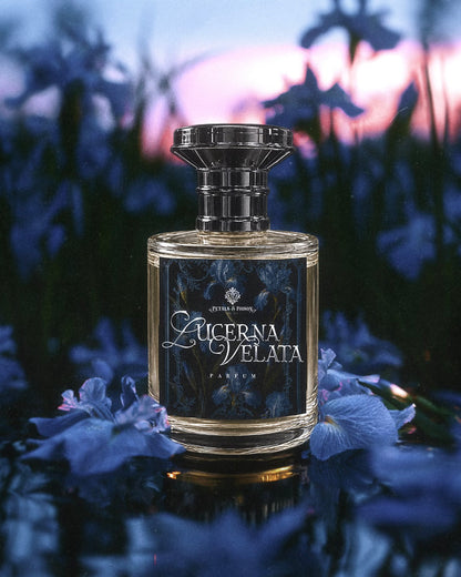 LUCERNA VELATA - BLACK LABEL