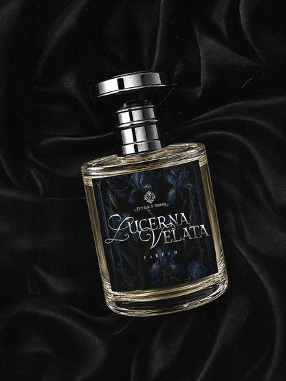 LUCERNA VELATA - BLACK LABEL