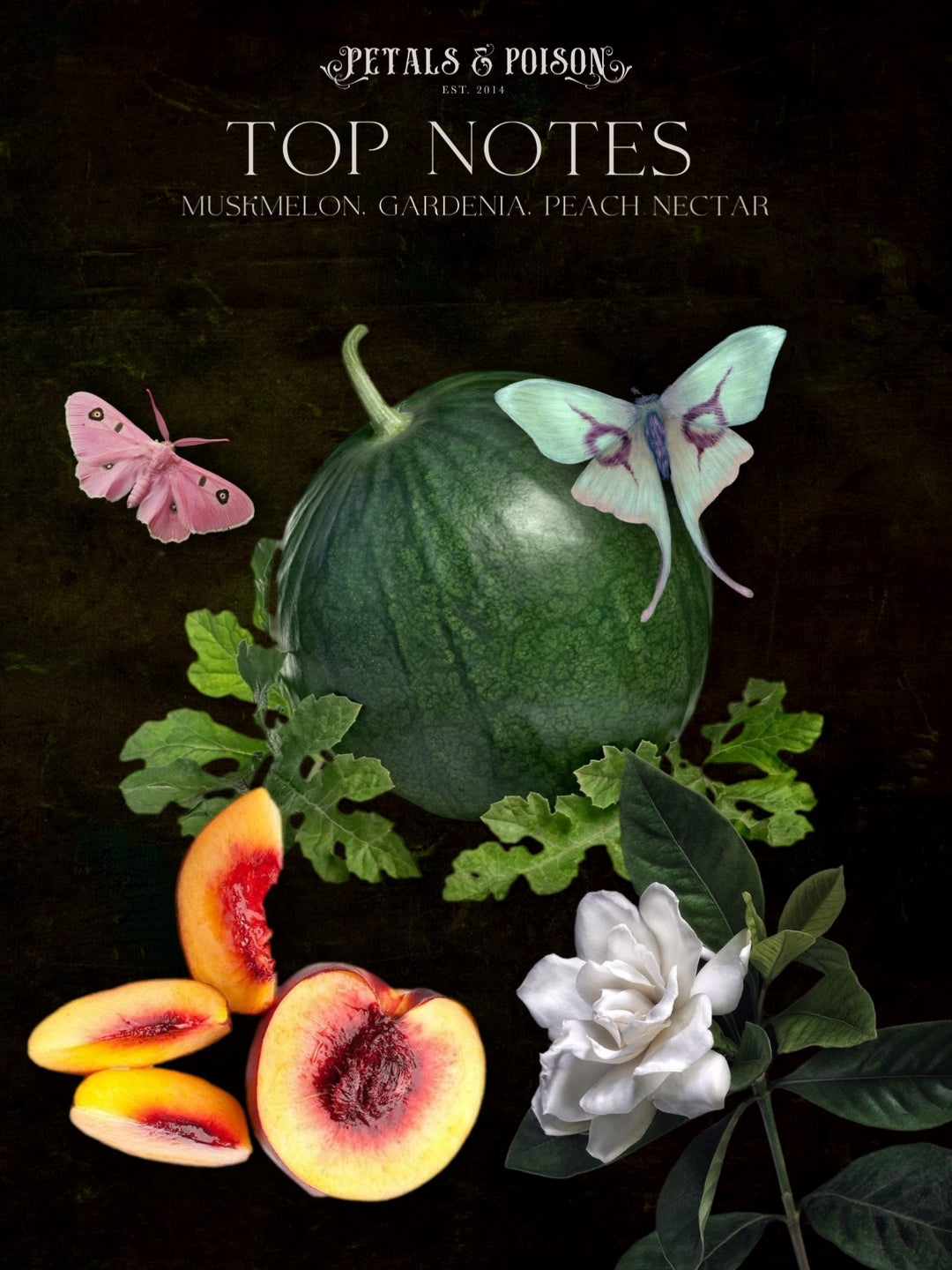 “Purgatory Gardens” 50ml Spray Perfume