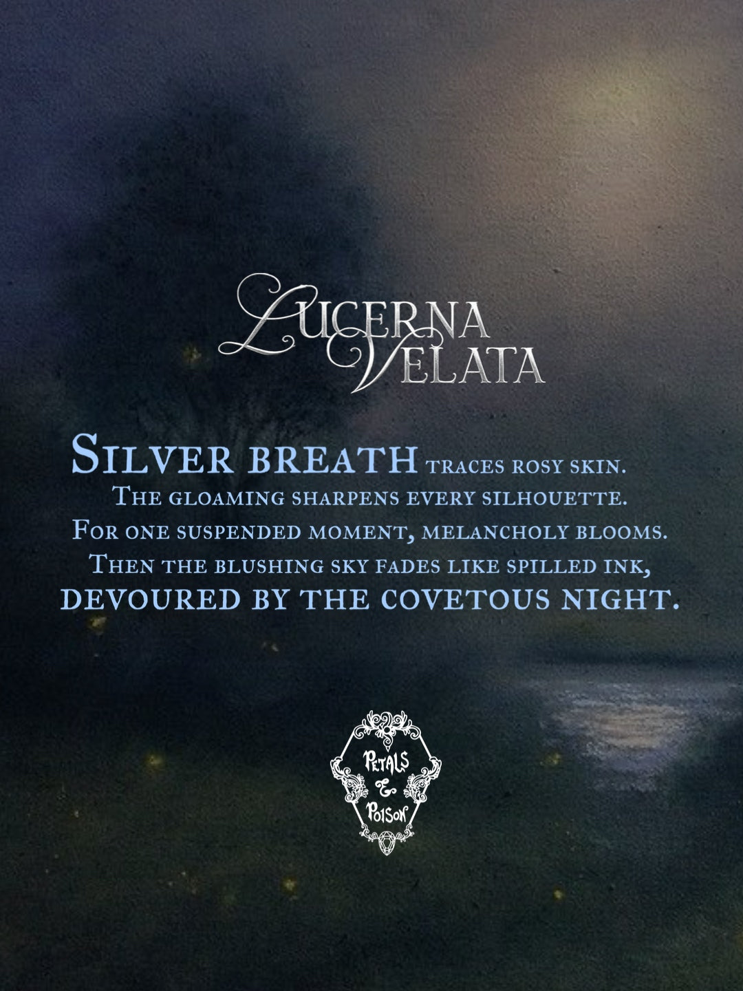 LUCERNA VELATA - BLACK LABEL