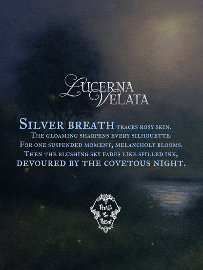 LUCERNA VELATA - BLACK LABEL