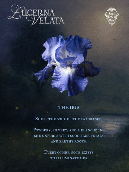 LUCERNA VELATA - BLACK LABEL