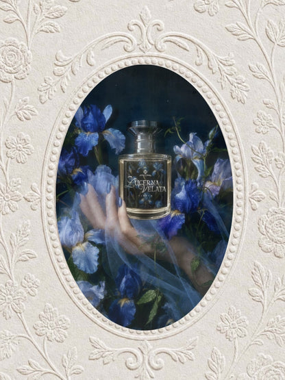 LUCERNA VELATA - BLACK LABEL