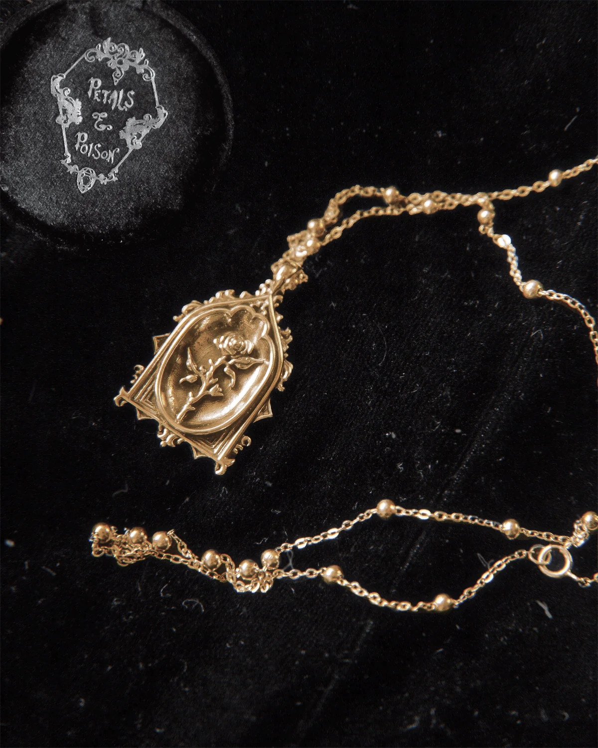 The GOLD "Lenore's Tomb” Curio Necklace