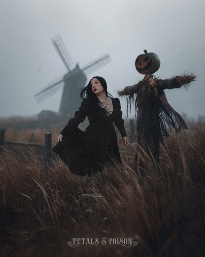 The "October" Dress in MANSION BLACK