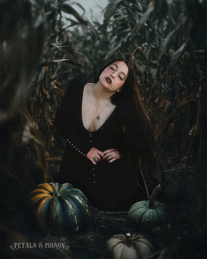 The "October" Dress in MANSION BLACK