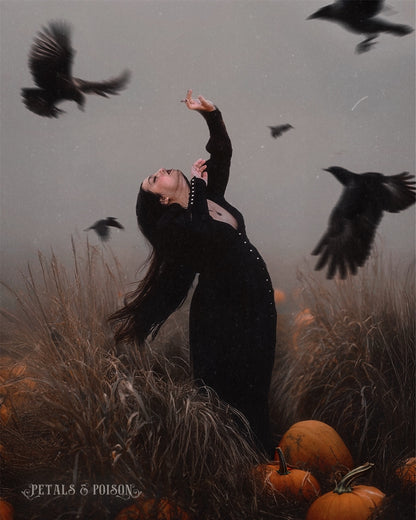 The "October" Dress in MANSION BLACK