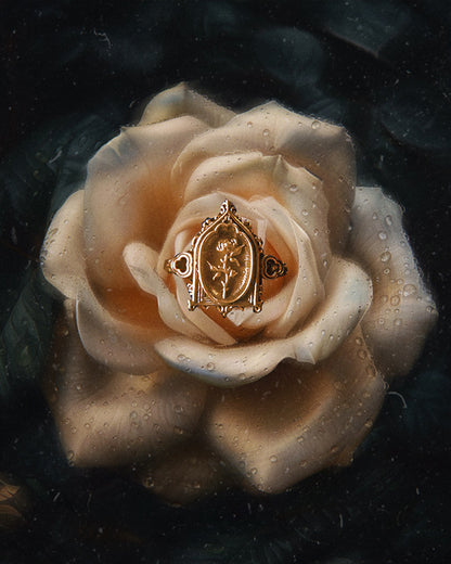 The GOLD "Lenore's Tomb” Curio Ring