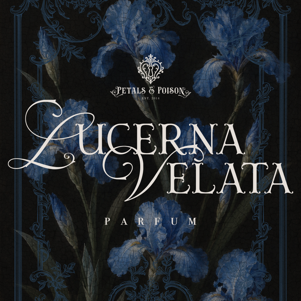 LUCERNA VELATA - BLACK LABEL