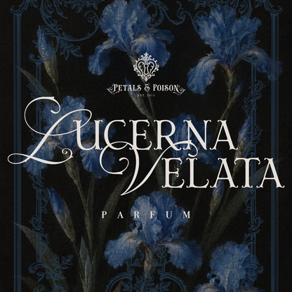 LUCERNA VELATA - BLACK LABEL