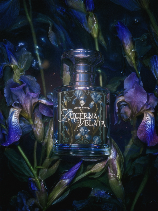 LUCERNA VELATA - BLACK LABEL