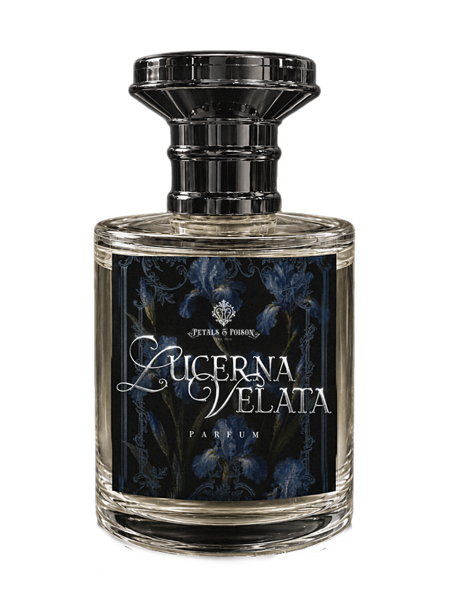 LUCERNA VELATA - BLACK LABEL