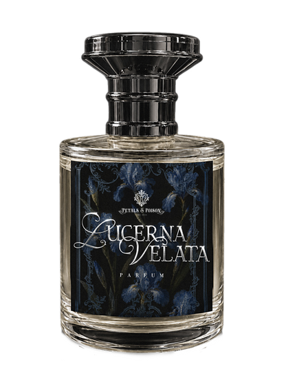 LUCERNA VELATA - BLACK LABEL