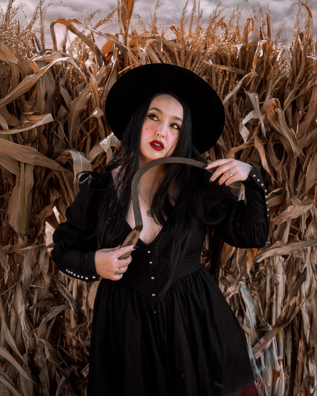 The "October" Dress in MANSION BLACK