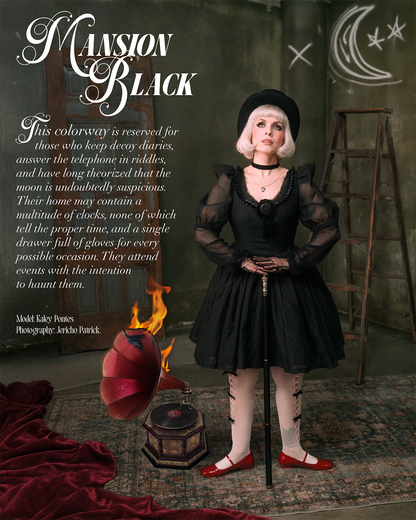 The "Baudelaire" Dress in MANSION BLACK