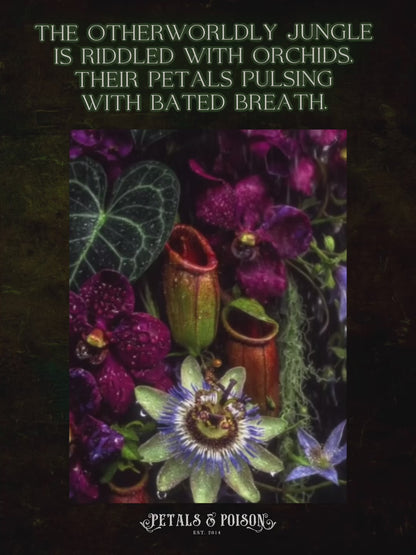 “Purgatory Gardens” 50ml Spray Perfume