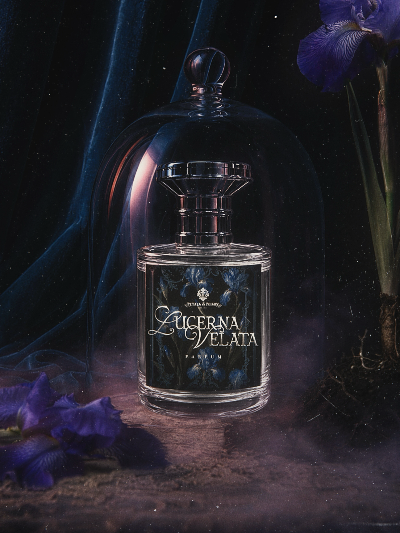 LUCERNA VELATA - BLACK LABEL