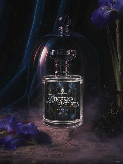 LUCERNA VELATA - BLACK LABEL
